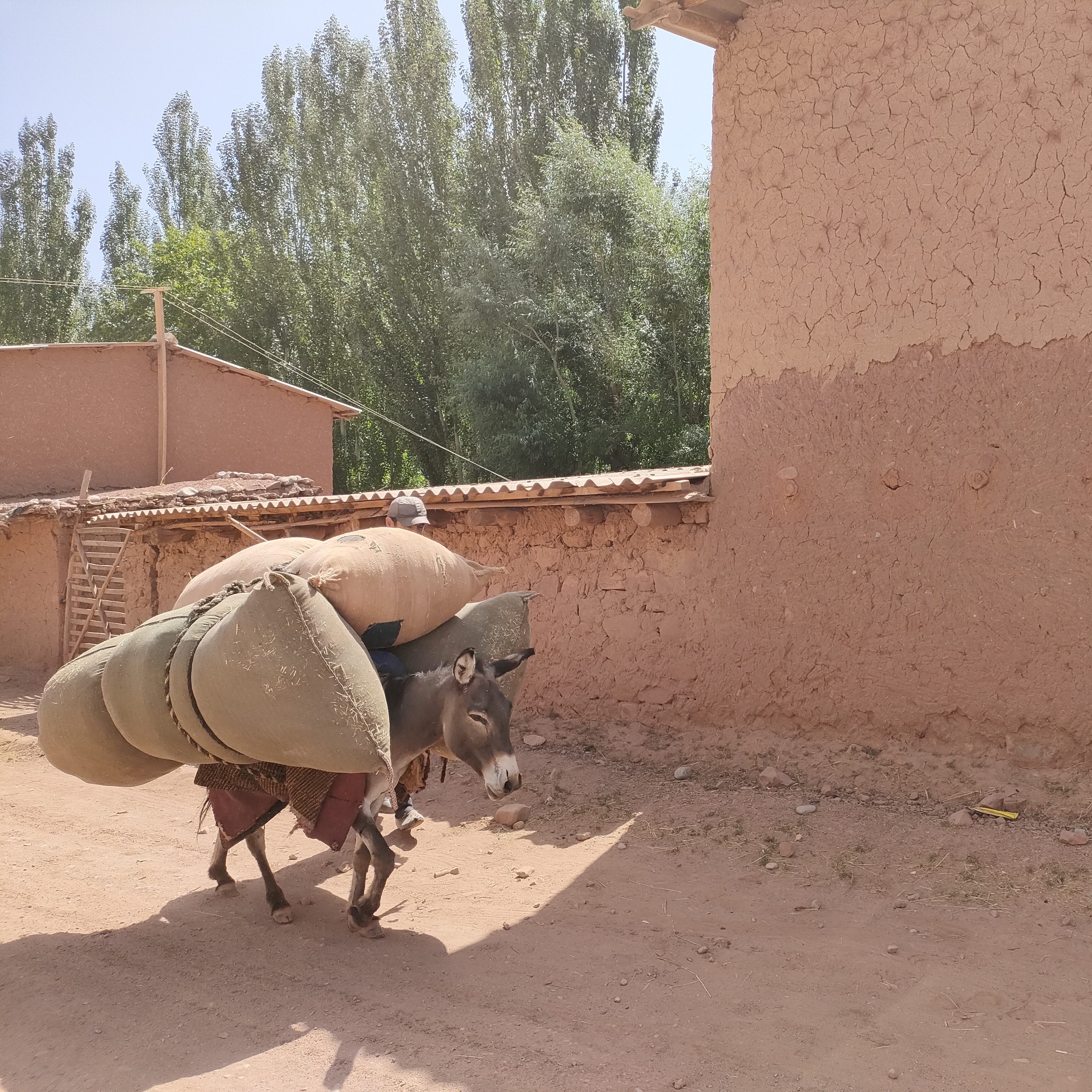 志田 夏美 Natsumi SHIDA